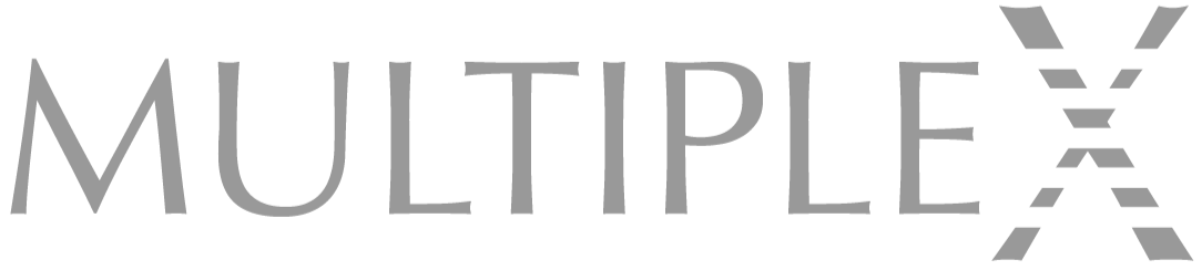 Multiplex-grey icon